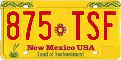 NM license plate 875TSF