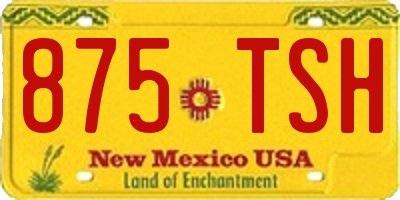 NM license plate 875TSH