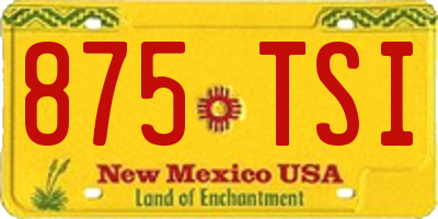 NM license plate 875TSI