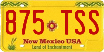 NM license plate 875TSS