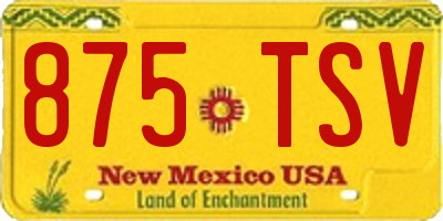 NM license plate 875TSV
