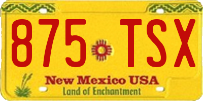 NM license plate 875TSX