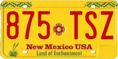 NM license plate 875TSZ