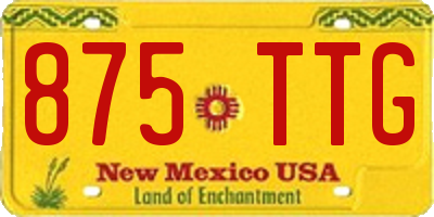 NM license plate 875TTG