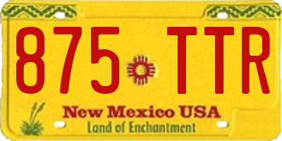 NM license plate 875TTR