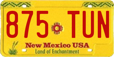 NM license plate 875TUN