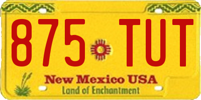 NM license plate 875TUT