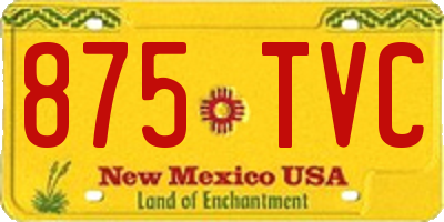 NM license plate 875TVC