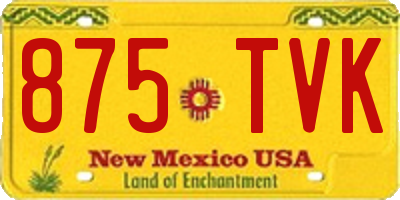 NM license plate 875TVK