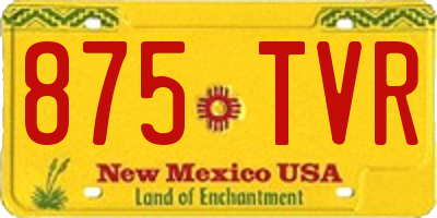 NM license plate 875TVR