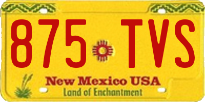 NM license plate 875TVS