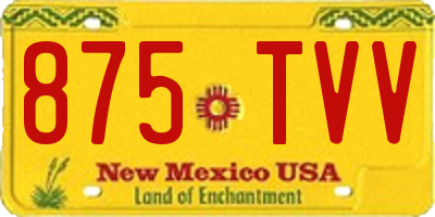 NM license plate 875TVV