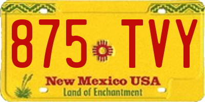 NM license plate 875TVY