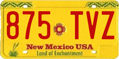 NM license plate 875TVZ