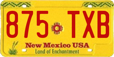 NM license plate 875TXB
