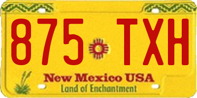 NM license plate 875TXH