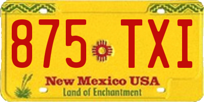 NM license plate 875TXI