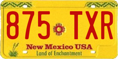 NM license plate 875TXR