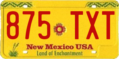 NM license plate 875TXT