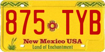 NM license plate 875TYB
