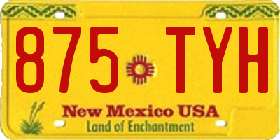 NM license plate 875TYH