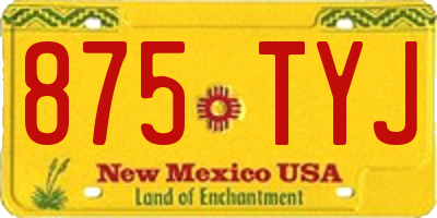 NM license plate 875TYJ