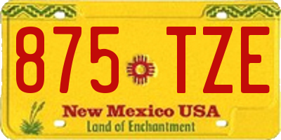 NM license plate 875TZE