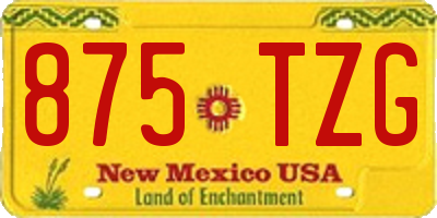 NM license plate 875TZG