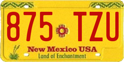 NM license plate 875TZU