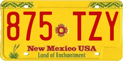 NM license plate 875TZY