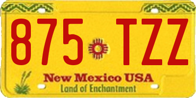 NM license plate 875TZZ