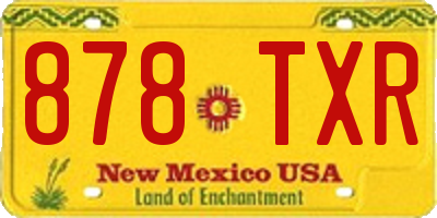 NM license plate 878TXR