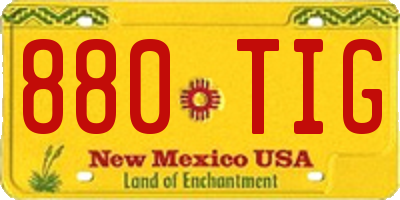 NM license plate 880TIG