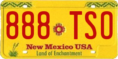 NM license plate 888TSO