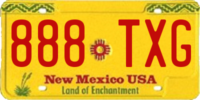 NM license plate 888TXG