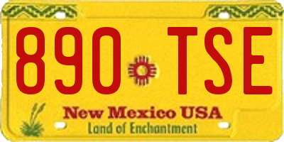 NM license plate 890TSE