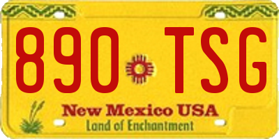 NM license plate 890TSG