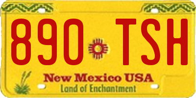 NM license plate 890TSH