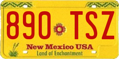 NM license plate 890TSZ