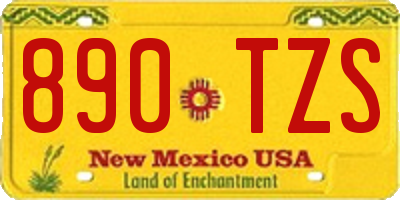 NM license plate 890TZS