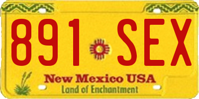 NM license plate 891SEX