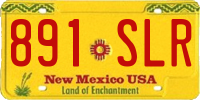 NM license plate 891SLR