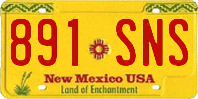 NM license plate 891SNS