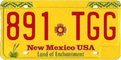 NM license plate 891TGG