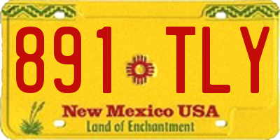 NM license plate 891TLY