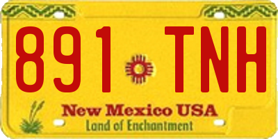 NM license plate 891TNH
