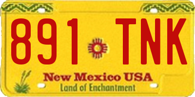 NM license plate 891TNK
