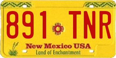 NM license plate 891TNR