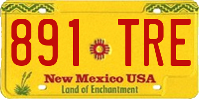 NM license plate 891TRE