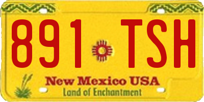 NM license plate 891TSH